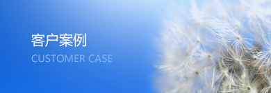 客户案例